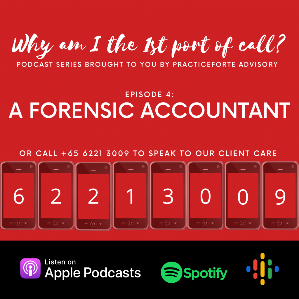 forensic accountant port of call