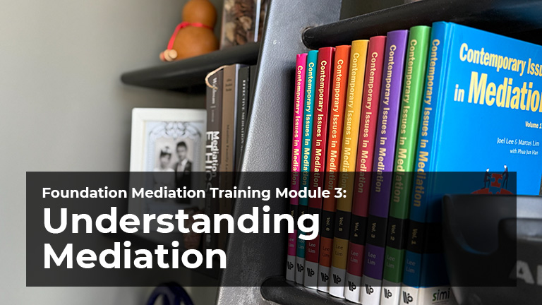 Understanding Mediation